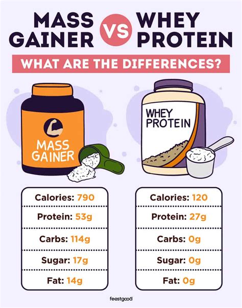 mass gainer vs whey protein|high calorie whey protein powder.